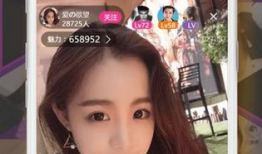 yy直播性爱视频完整版,一场网络直播的道德争议